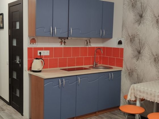 Продам 1 комнатну квартиру Солоницевка