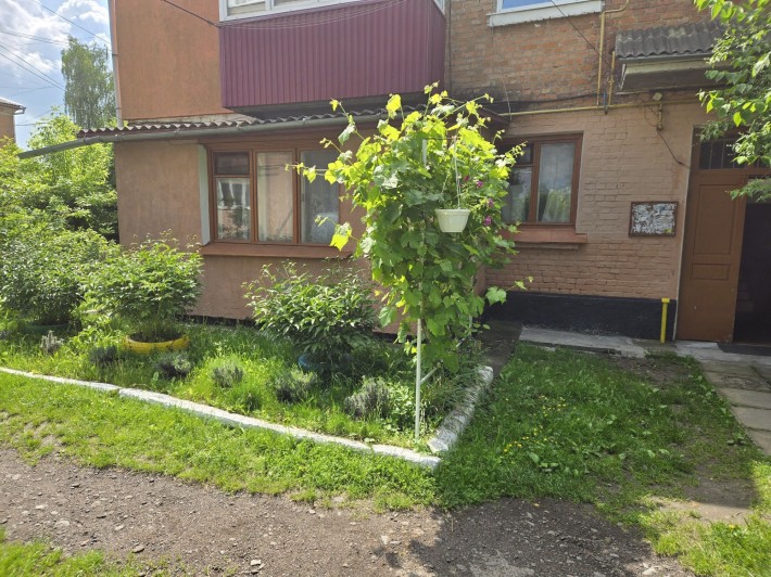 Продам трикімнатну квартиру + індивідуальне опалення + гараж + сарай - фото 1