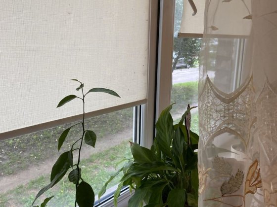 1 кімнатна квартира , Вигідна пропозиці