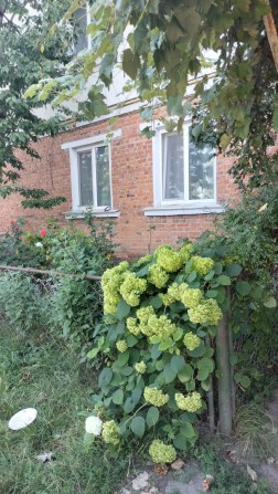 Продаж 2-кімнатної квартири в Гнівані. - фото 1