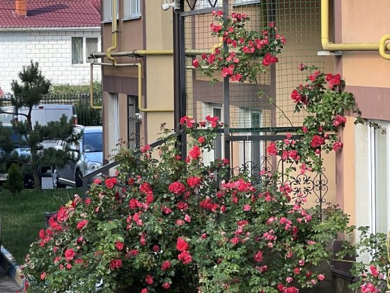 Без %! Продаж видової 2к квартири в ЖК Спутник.Держпрограми.Сертифікат Білогородка