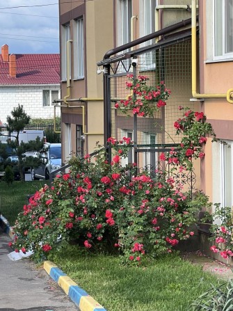 Без %! Продаж видової 2к квартири в ЖК Спутник.Держпрограми.Сертифікат - фото 1