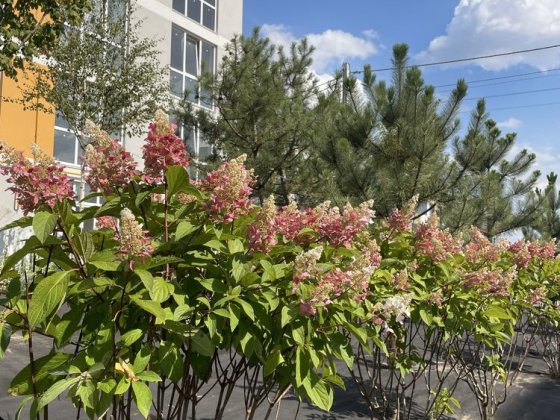 Без комісії!Вигідна пропозиція) ЖК Санвіль)Святопетрівське! Святопетровское