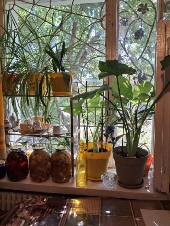 Продам 1-кім квартиру Димер - фото 1