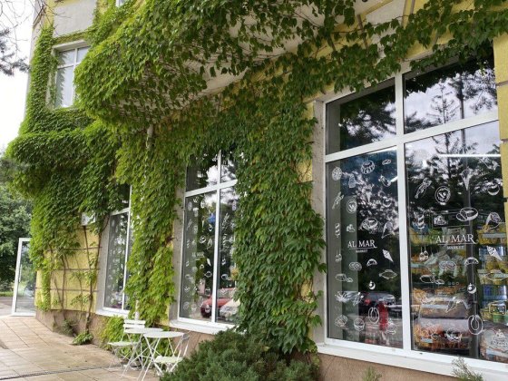 Квартира 140 кв. з ремонтом у Щасливому Счастливое