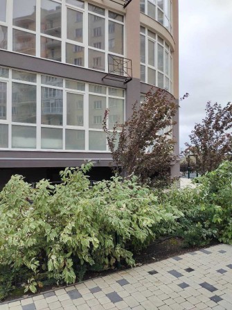 Срочно 1 комн. квартира кирпичный дом АОГВ ПВ 25% Рассрочка 30месяцев - фото 1