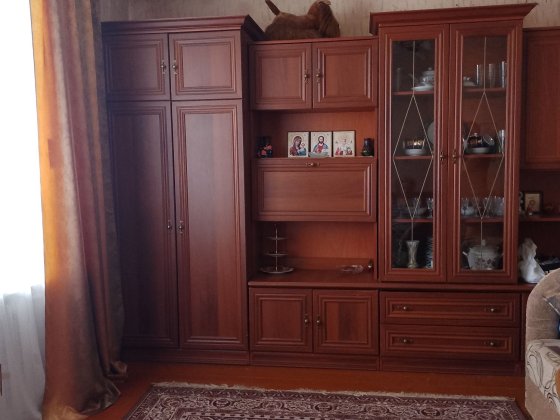 Продам однокімнатну квартиру з меблями в с. Вишняки. Хорол