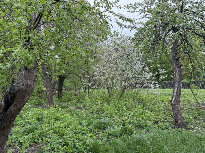 Продам квартиру в заводі старої будови - фото 1