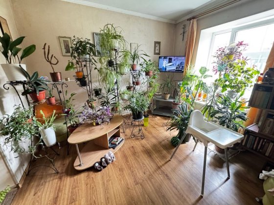 Трикімнатна квартира в центрі міста з меблями.                    d Ивано-Франковск