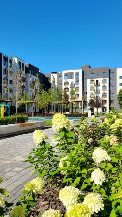 ТЕРМІНОВО 1-к квартира з ремонтом можна під СЕРТИФІКАТ ЖК Молодість - фото 1