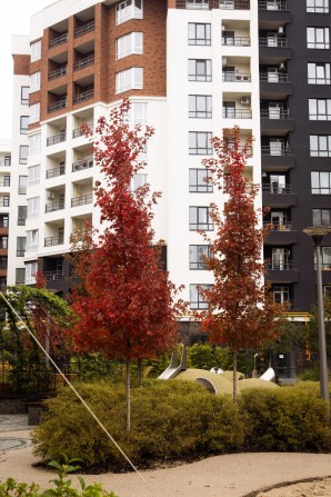 3-кімнатна дворівнева квартира 86.8 м² з терасою, єОселя 3%, 7% - фото 1