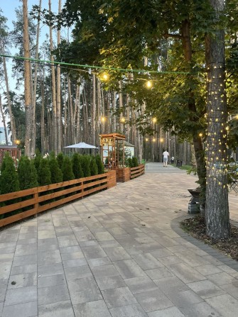 1к квартра з видом на сосновий парк - фото 1