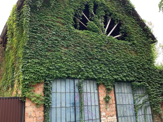 Оренда гаража. Район парка Шевченка. Цегляний. Проведена електрика.