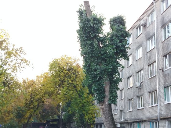 Продам малосімейку. Власник. Кременчуг