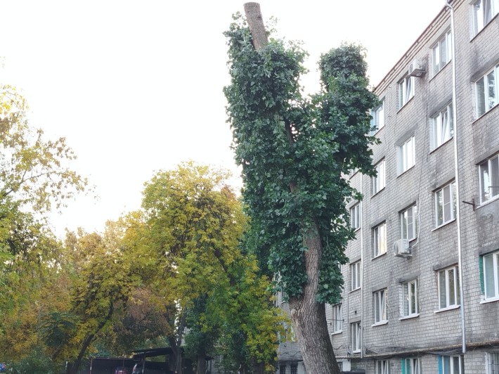 Продам малосімейку. Власник. - фото 1