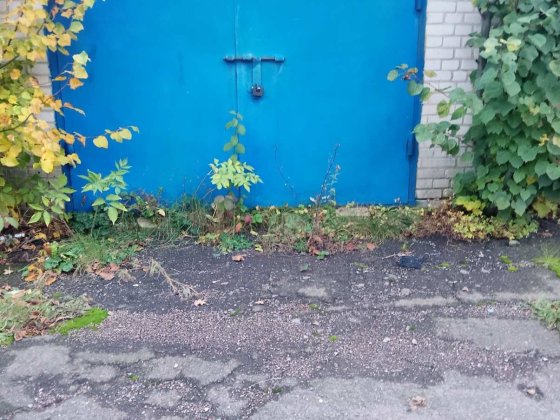 Здам в оренду гараж Тетиев