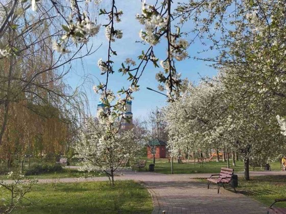 Продаю 2 комнатную квартиру. Восточный 2 (сквер им.Гутовсого) Кривий Ріг