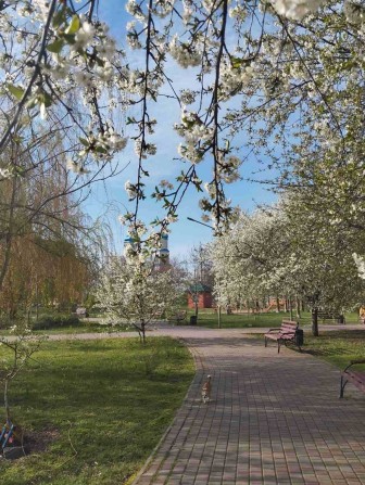 Продаю 2 комнатную квартиру. Восточный 2 (сквер им.Гутовсого) - фото 1