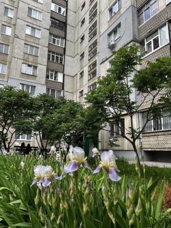 2 кімнатна проспект Лушпи - фото 1