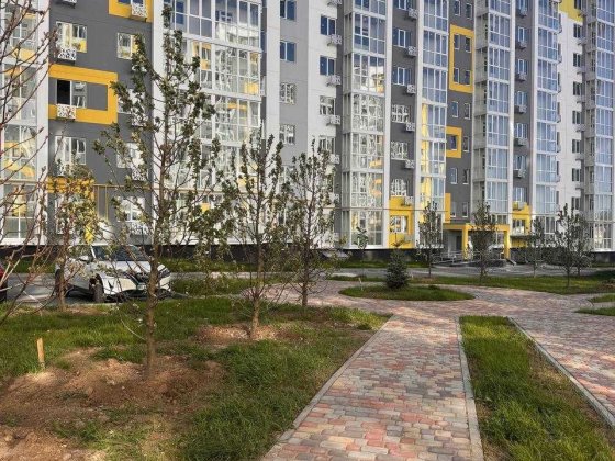 Однокімнатна ЖК Пелюстковий. Вікна у двір Полтава