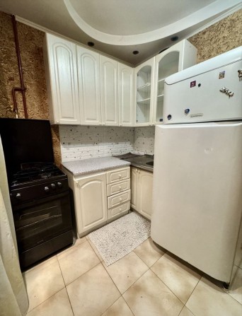 Квартира з ремонтом і меблями, 3-й поверх, Виноградар - фото 1