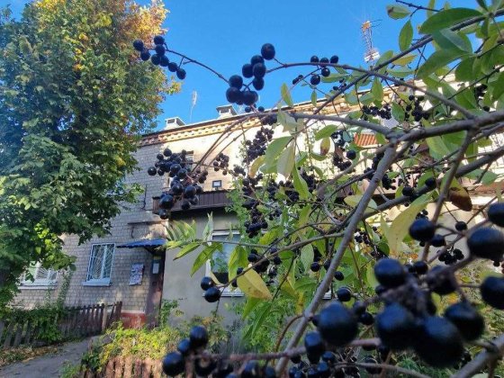 Продам квартиру с АВТОНОМНЫМ отоплением на Правде Днепр