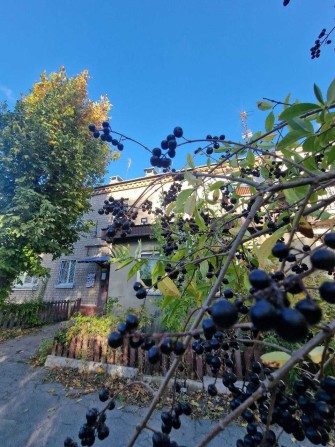 Продам квартиру с АВТОНОМНЫМ отоплением на Правде - фото 1