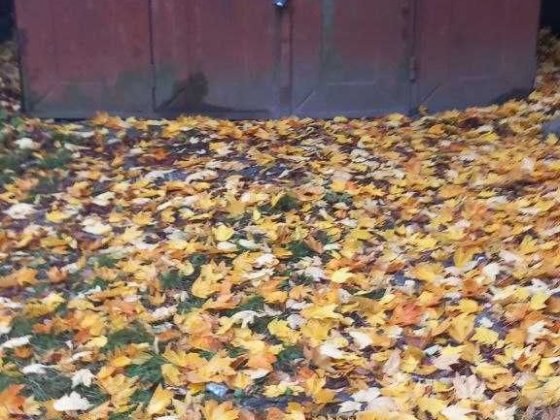 Продам гараж голосеевский район Київ