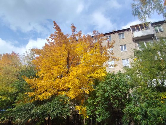 Продам 2-кімнатну квартиру на Павловому Полі, вул. Олександра Олеся Харьков