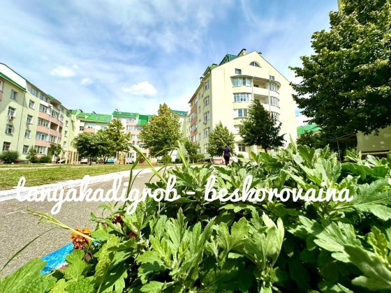 ЖК Петропавлівський, 2 кімн. Продаж квартири Петропавловская Борщаговка