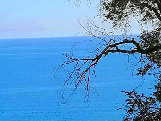 Квартира с террасой  в коттедже у моря и парка Одеса