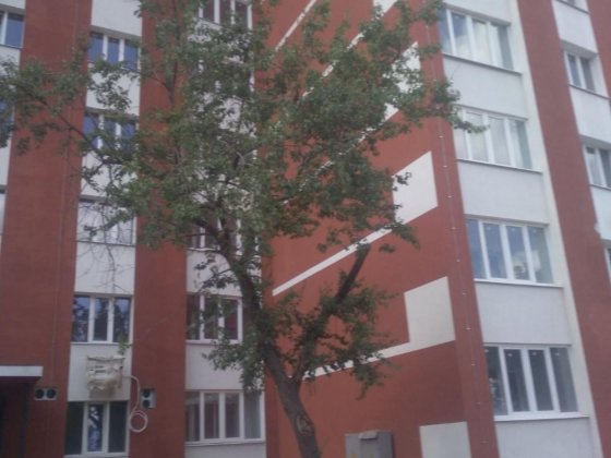 ЕЛ-1221 Продам 3к квартиру на Северной Салтовке Северная 3 Харків