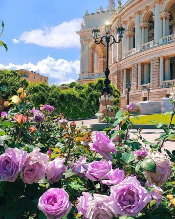 Продам 1 комн квартиру двойного назначения Тираспольская фасадное окно - фото 1