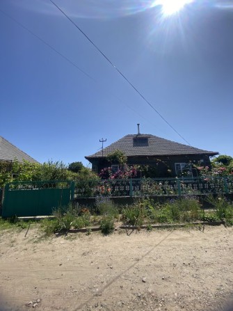 Пролам копитальеый дом - фото 1