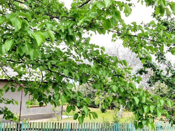 Будинок у Приморському Б-Дністровського р-ну!Є-відновлення! Море!Лиман Белгород-Днестровский