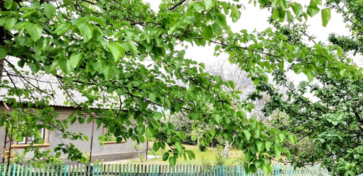 Будинок у Приморському Б-Дністровського р-ну!Є-відновлення! Море!Лиман - фото 1