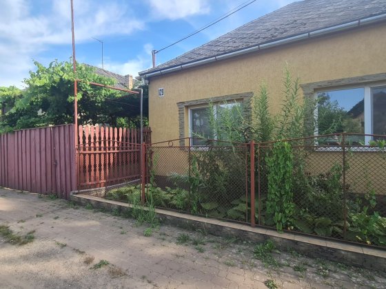 Продається чудовий сімейний будинок на околиці м Берегово Берегово