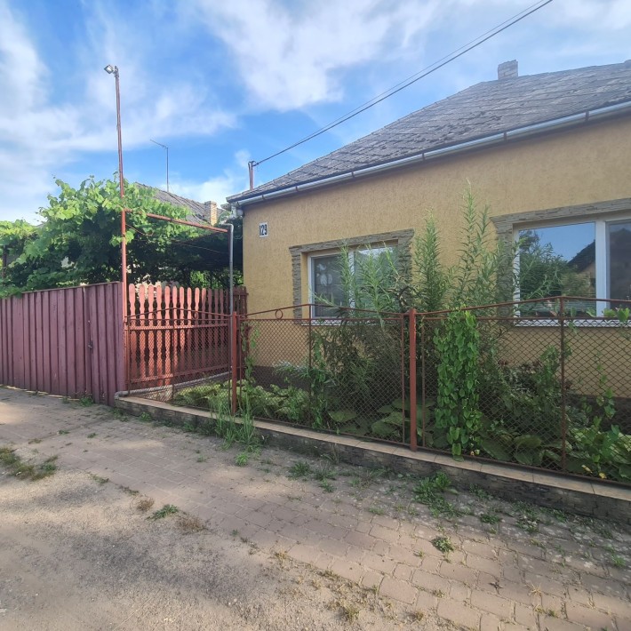 Продається чудовий сімейний будинок на околиці м Берегово - фото 1