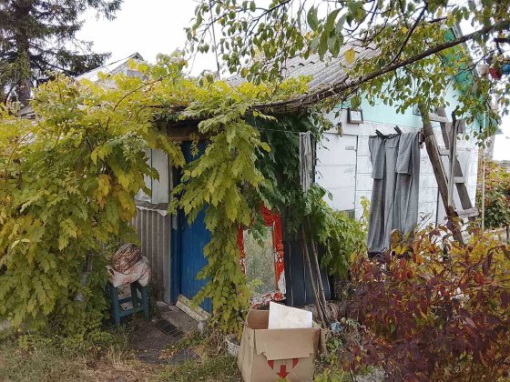 Продам дачний будинок Кам'янське