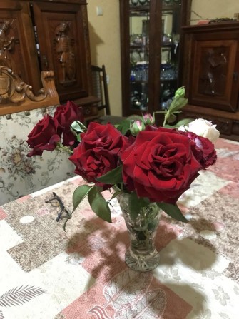 будинок з надвірнимм спорудами - фото 1