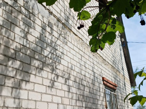 Дача в  Високому. Высокий