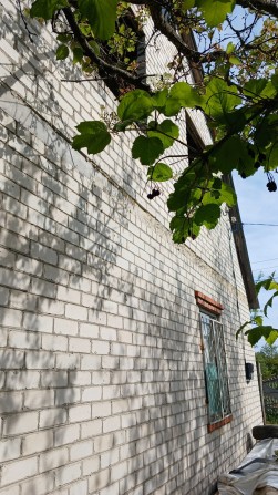 Дача в  Високому. - фото 1