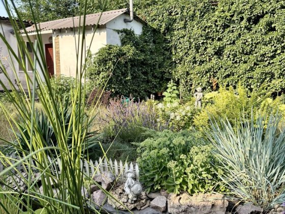 Продам Дом Центр Кам'янське