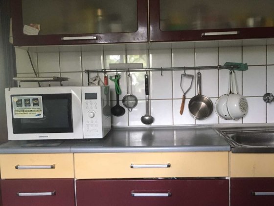 дом и земля 80 соток (Новотаромское) Кам'янське