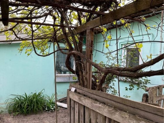 Продам будинок з ділянкою місто Остер Вышгород