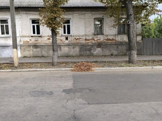 Частина домогосподарства. Глухів