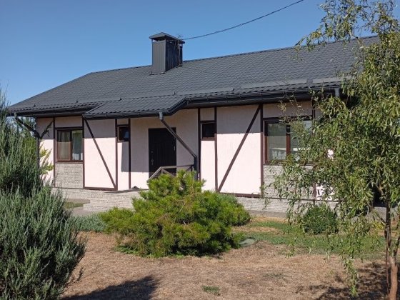 Продам шикарный дом на голубом озере Елизаветовка/Каменское Кам'янське