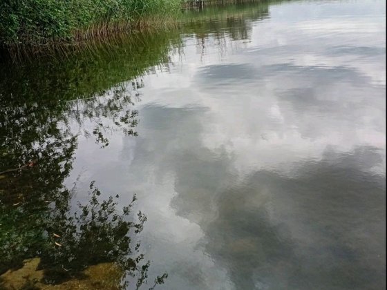 Продається садиба с.  Богданівка  Кіровоградська обл. Жовті Води