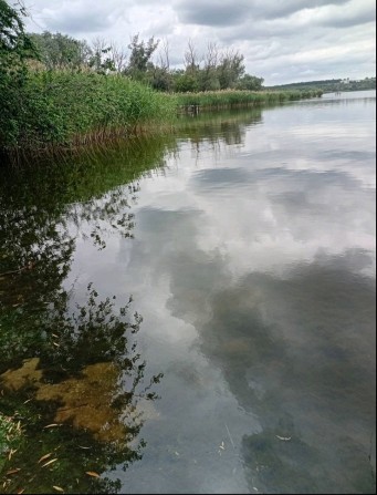 Продається садиба с.  Богданівка  Кіровоградська обл. - фото 1
