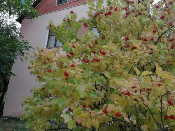 Продам 2 дома на участке 25 соток на берегу Донца  в селе Мохнач. Змиев